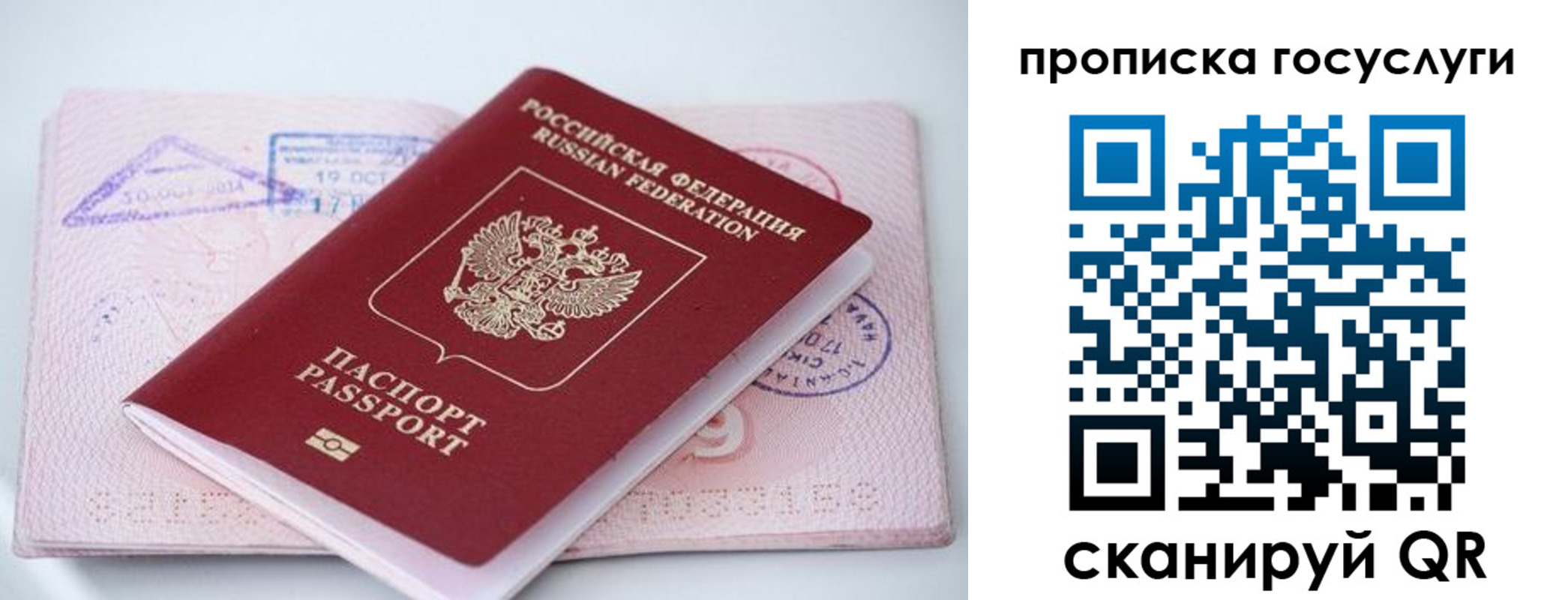 прописка законно в Электроуглях